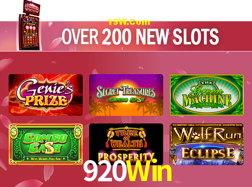 Statistics 920Win